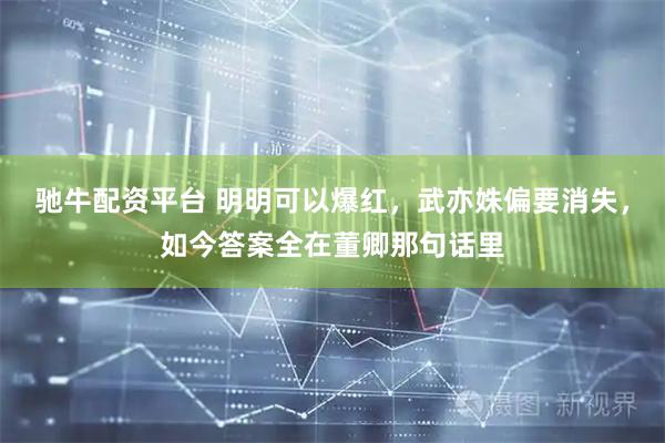 驰牛配资平台 明明可以爆红，武亦姝偏要消失，如今答案全在董卿那句话里