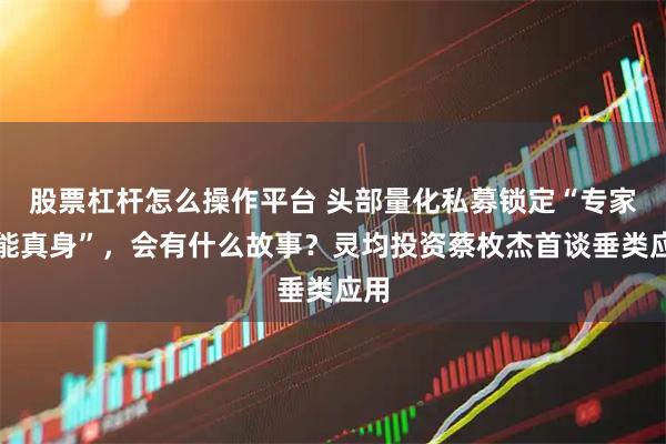 股票杠杆怎么操作平台 头部量化私募锁定“专家智能真身”，会有什么故事？灵均投资蔡枚杰首谈垂类应用