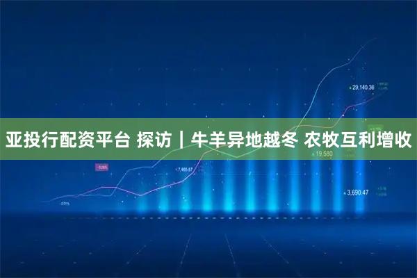 亚投行配资平台 探访｜牛羊异地越冬 农牧互利增收