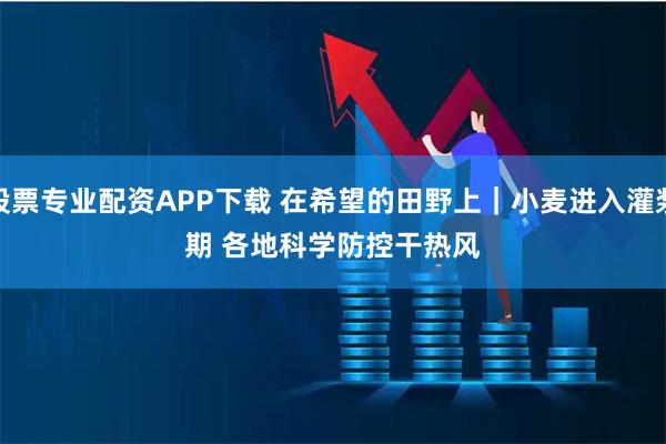 股票专业配资APP下载 在希望的田野上｜小麦进入灌浆期 各地科学防控干热风